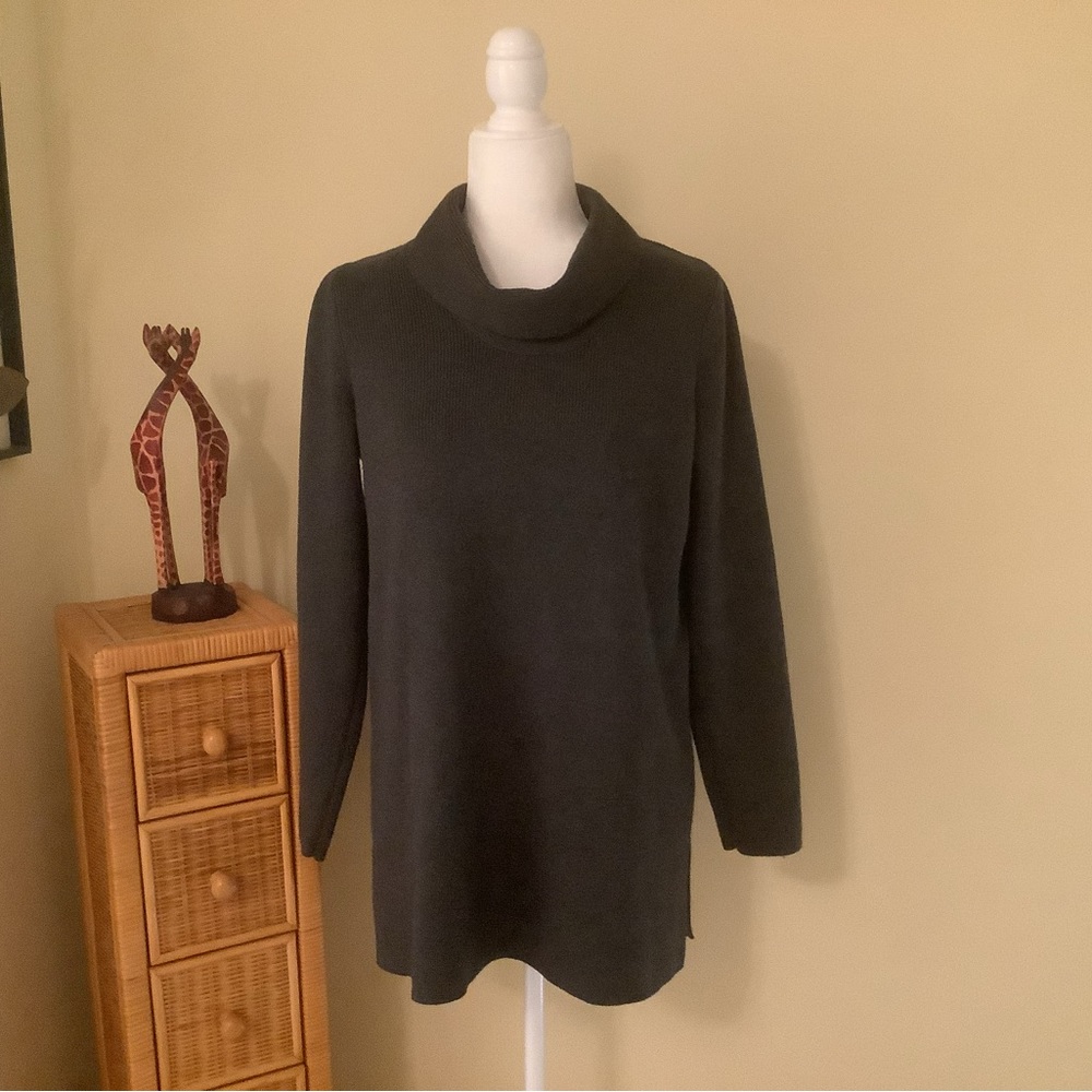 J.Jill tunic, cowl neck sweater